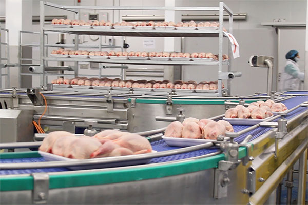 venta-carne-aves-aeropic-mayoristas