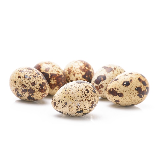 comprar-huevos-codorniz-aeropic-venta-mayoristas