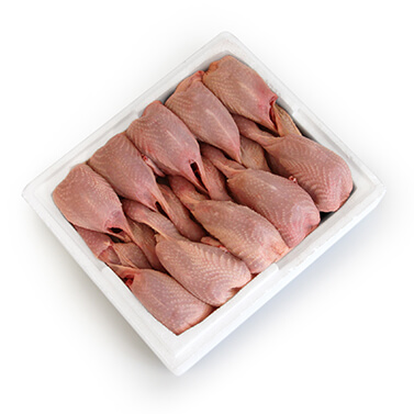 codorniz-aeropic-bandeja-porex